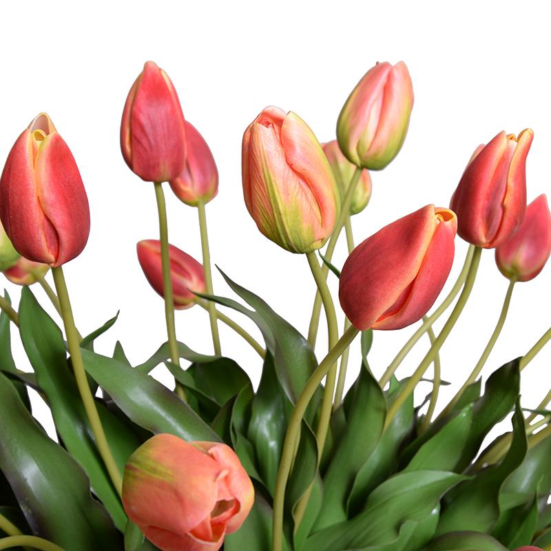 Tulip Vase Arrangement