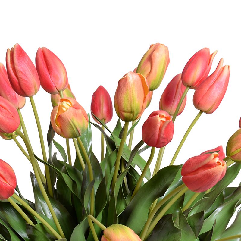 Tulip Vase Arrangement