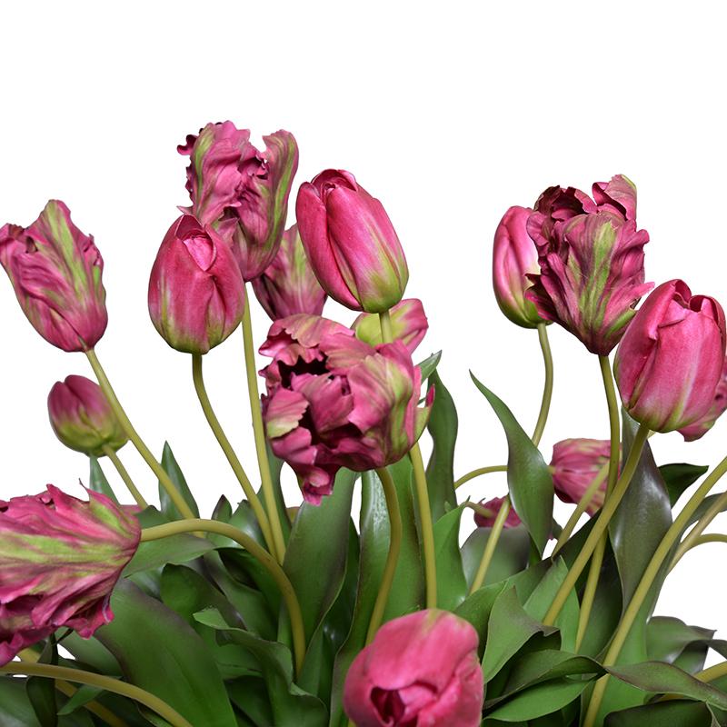 Tulip Vase Arrangement
