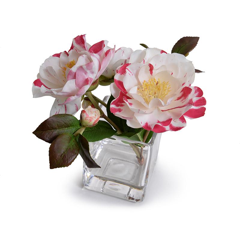 Camellia, Red-white - New Growth Designs