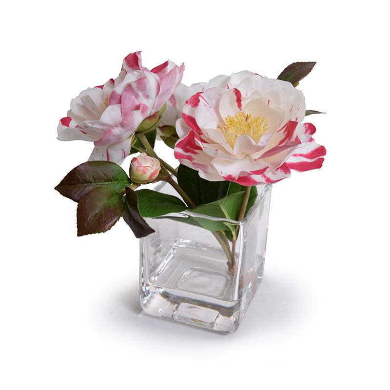 Camellia, Red-white - New Growth Designs