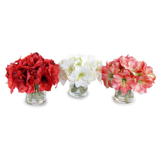 Amaryllis Bouquet - New Growth Designs
