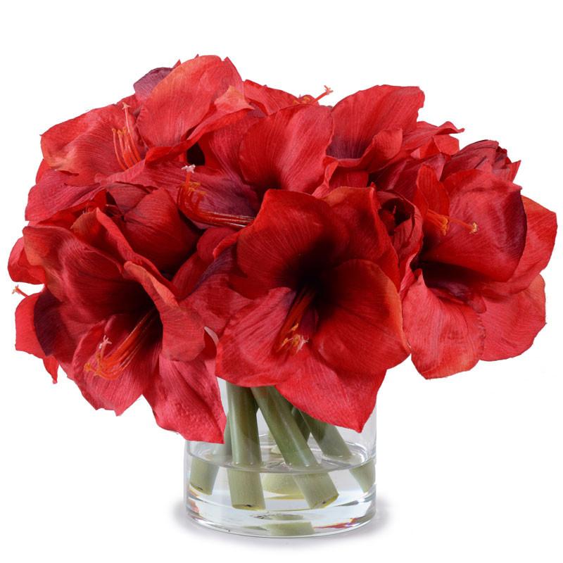 Amaryllis Bouquet - New Growth Designs