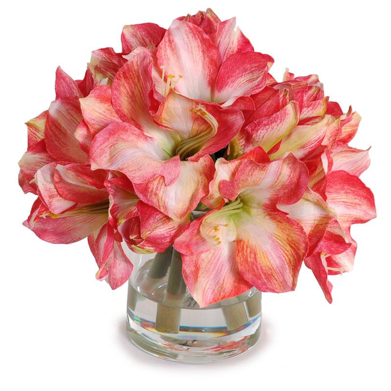 Amaryllis Bouquet - New Growth Designs