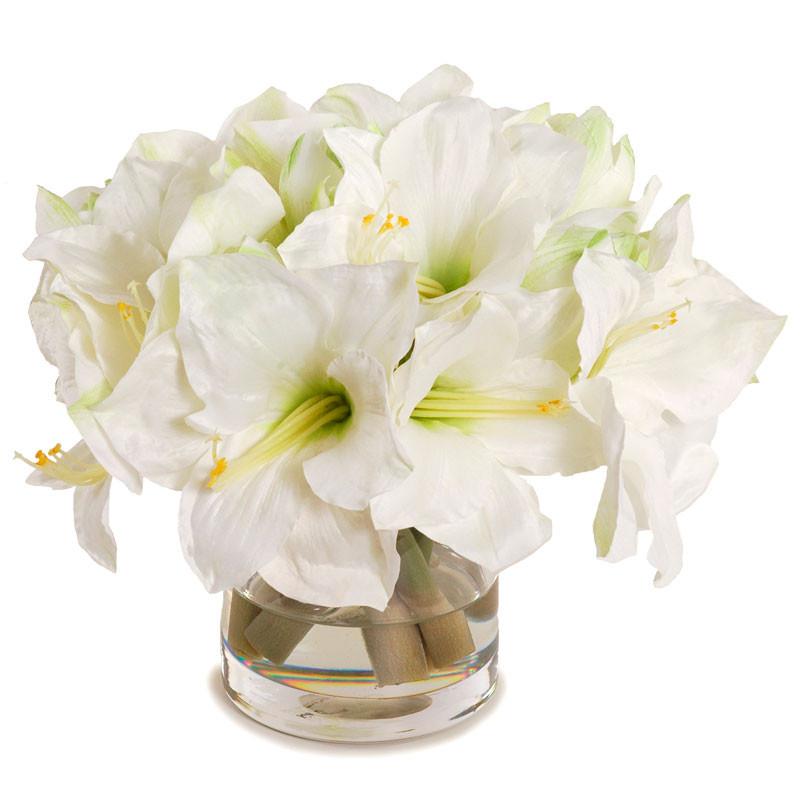 Amaryllis Bouquet - New Growth Designs
