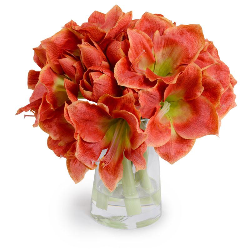 Amaryllis Arrangement - New Growth Designs