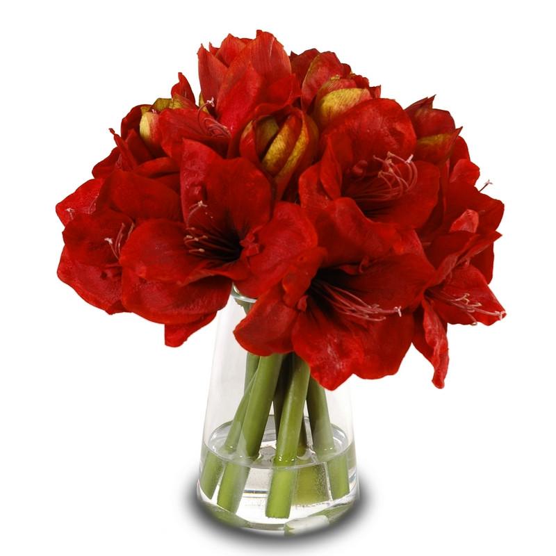 Amaryllis Arrangement - New Growth Designs