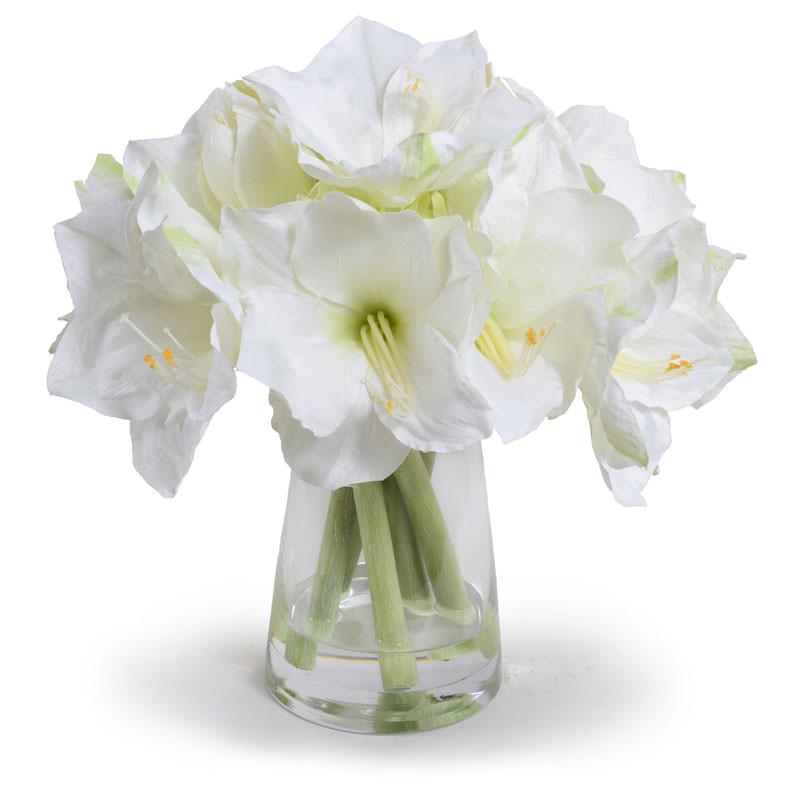 Amaryllis Arrangement - New Growth Designs