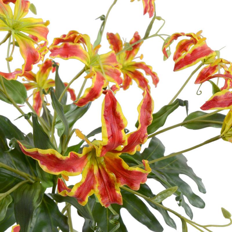 Gloriosa Lily Bouquet - New Growth Designs