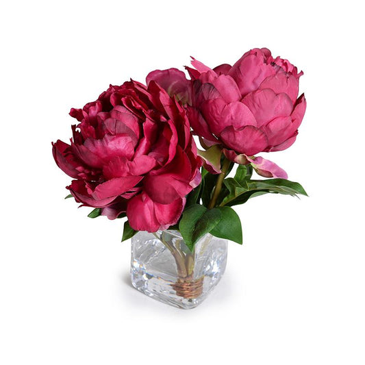 Peony Arrangement in Glass Cube