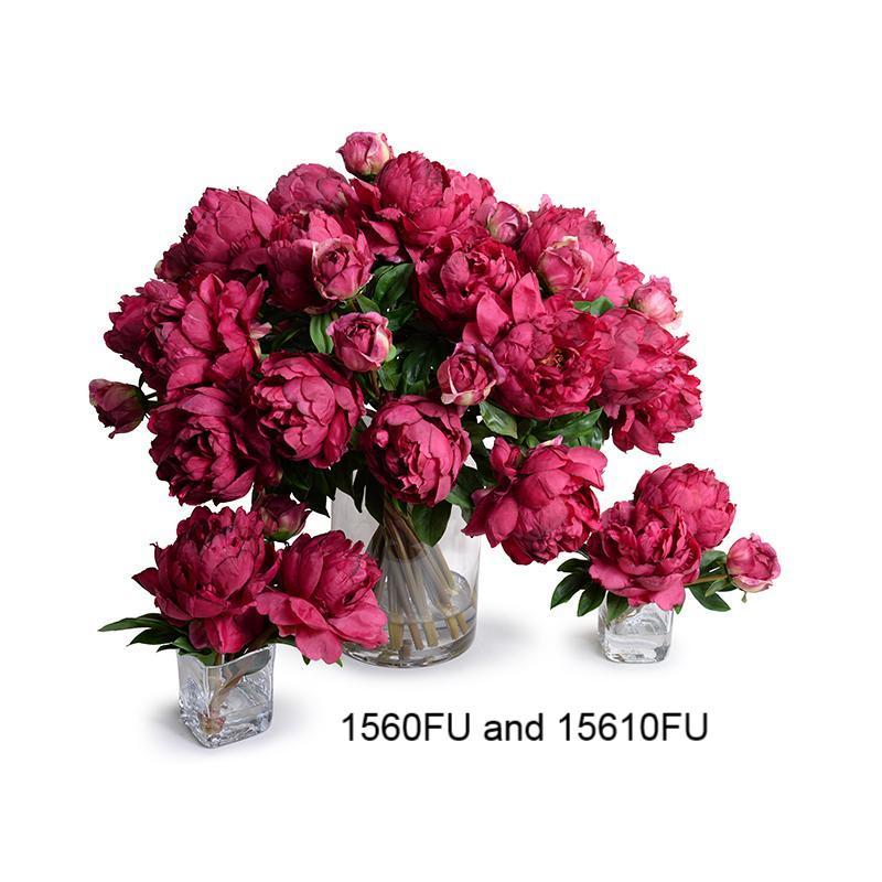 Peonies, Fuchsia