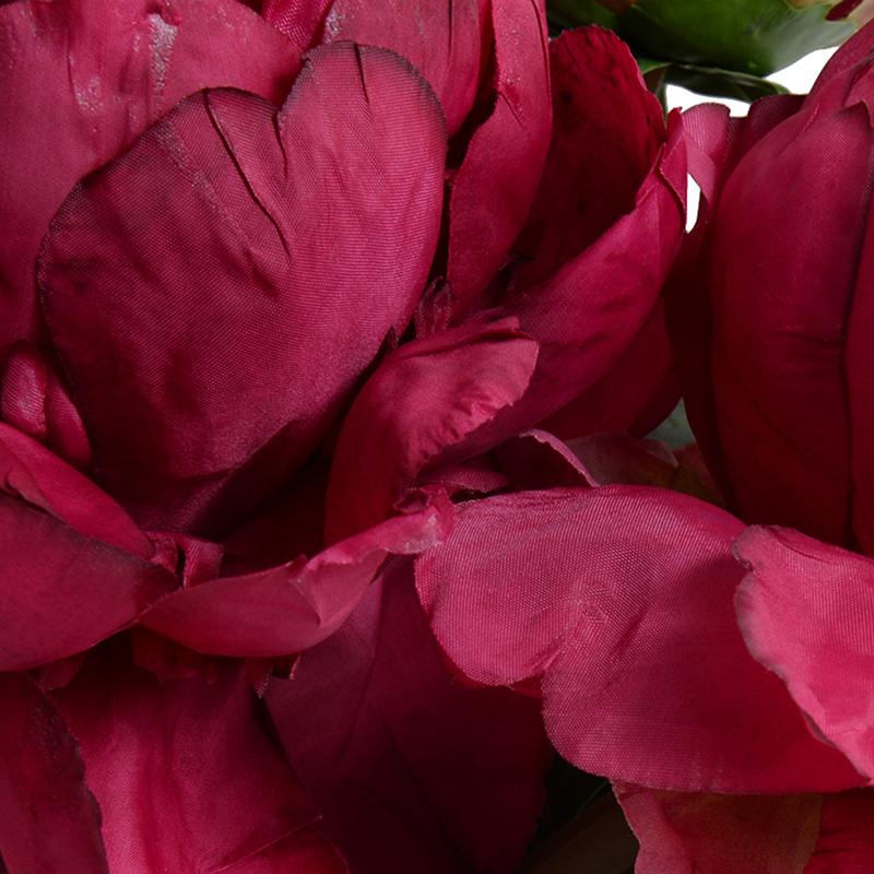 Peonies, Fuchsia