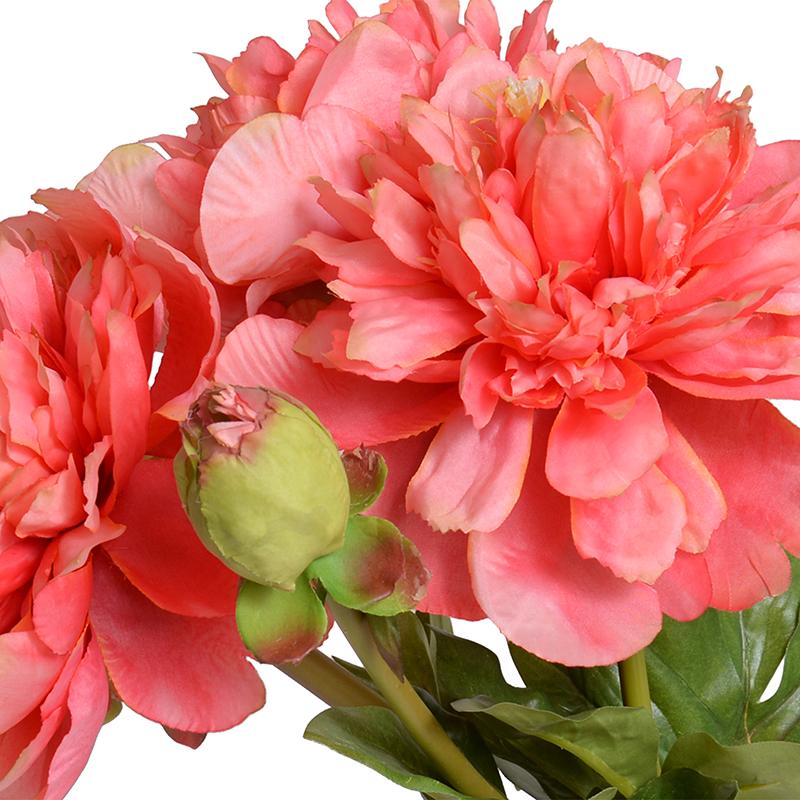 Peony Cutting in Glass Envelope