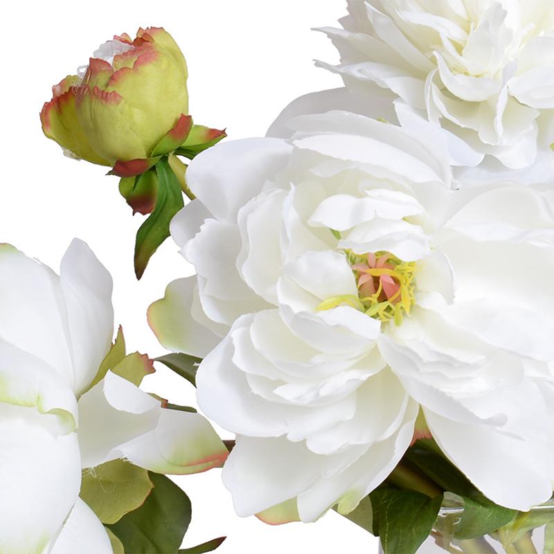 Peony Cutting in Glass Envelope
