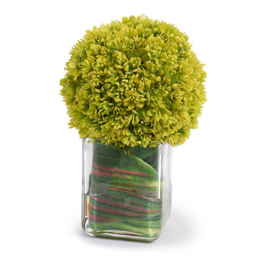 Allium Cube - New Growth Designs