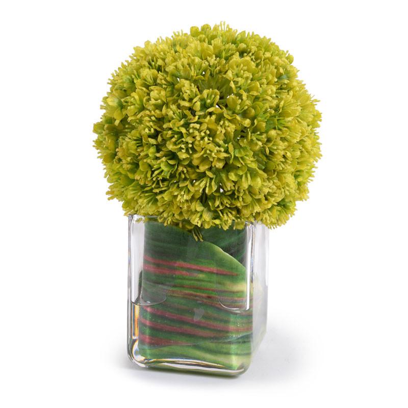 Allium Cube - New Growth Designs