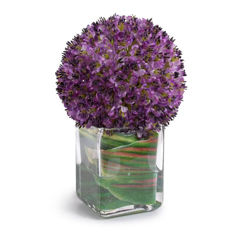Allium Cube - New Growth Designs