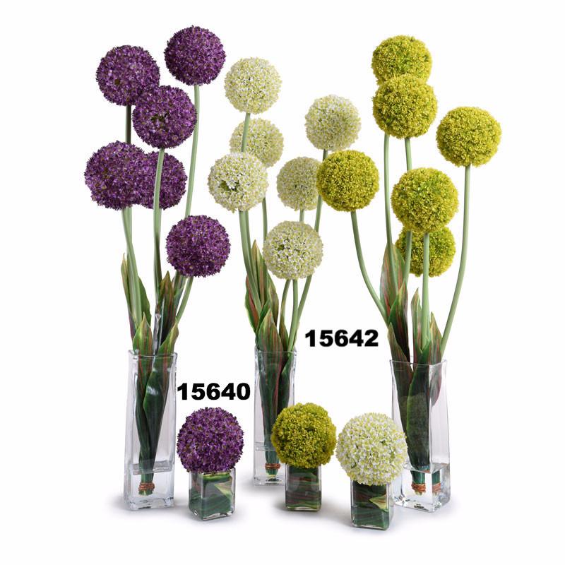 Allium - New Growth Designs