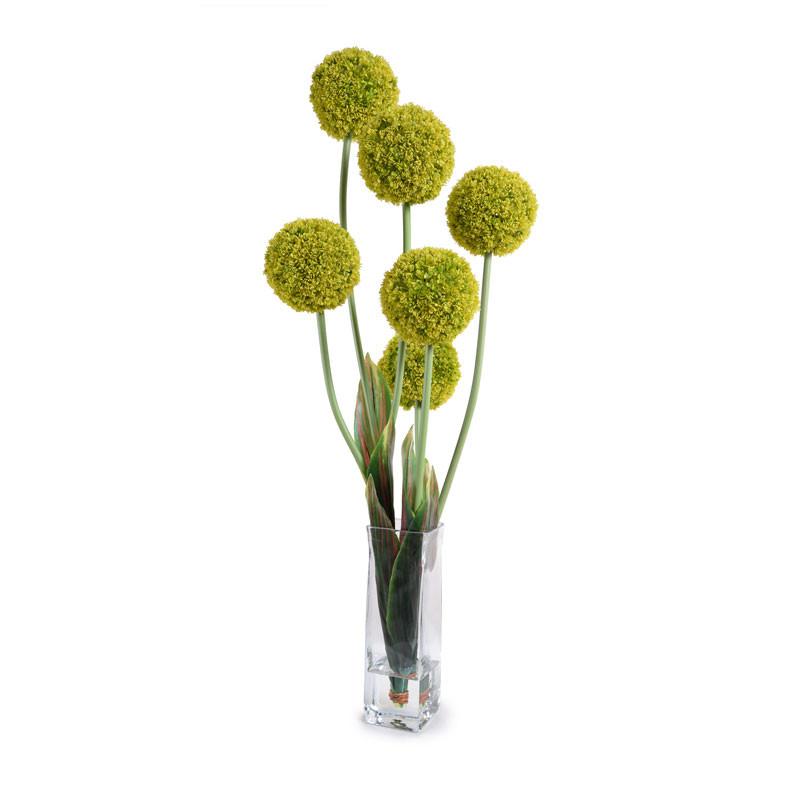 Allium - New Growth Designs