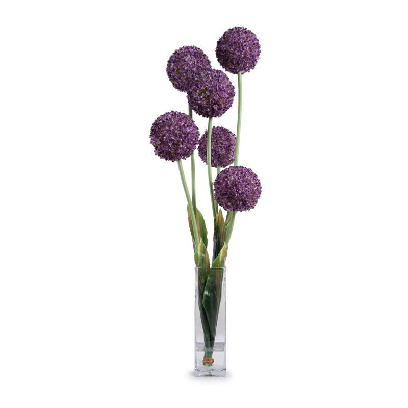 Allium - New Growth Designs