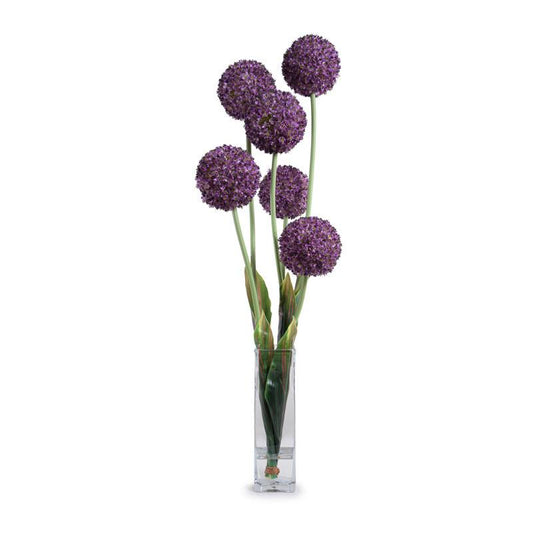 Allium - New Growth Designs