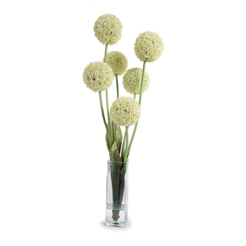 Allium - New Growth Designs