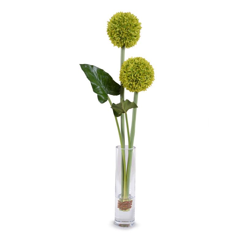 Allium - New Growth Designs