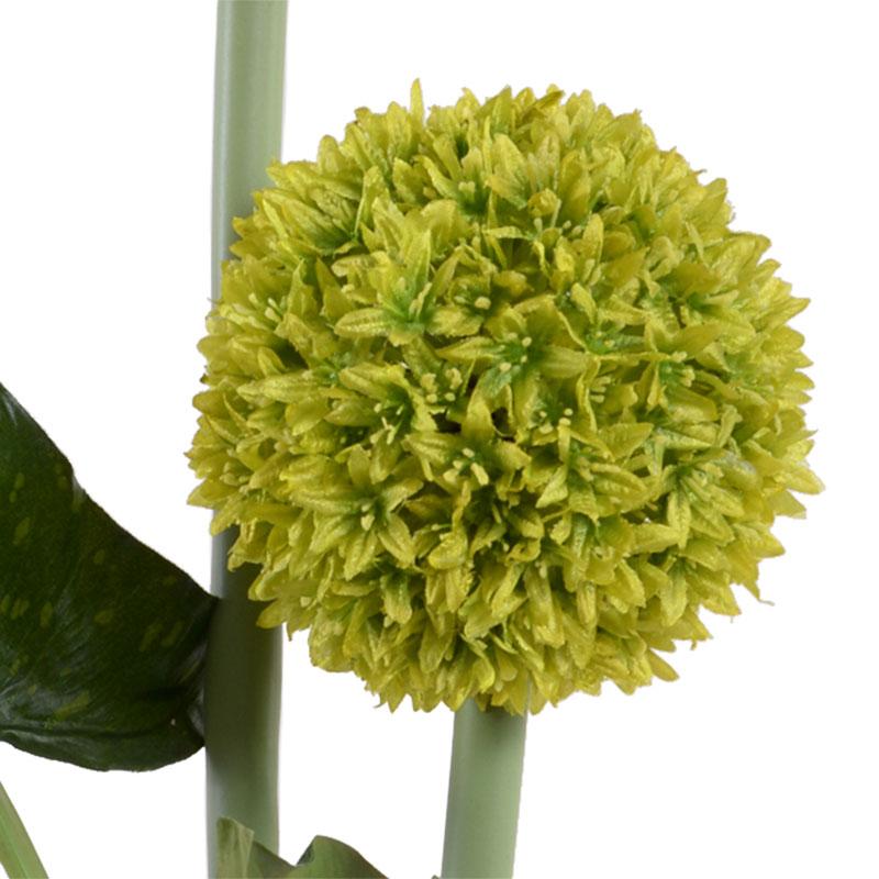 Allium - New Growth Designs