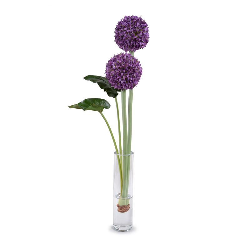 Allium - New Growth Designs