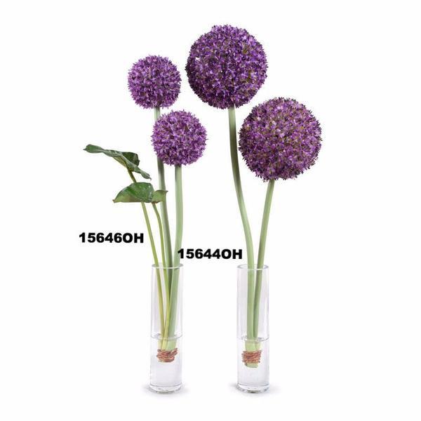 Allium - New Growth Designs