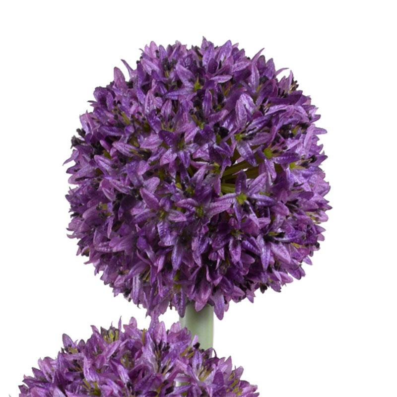Allium - New Growth Designs