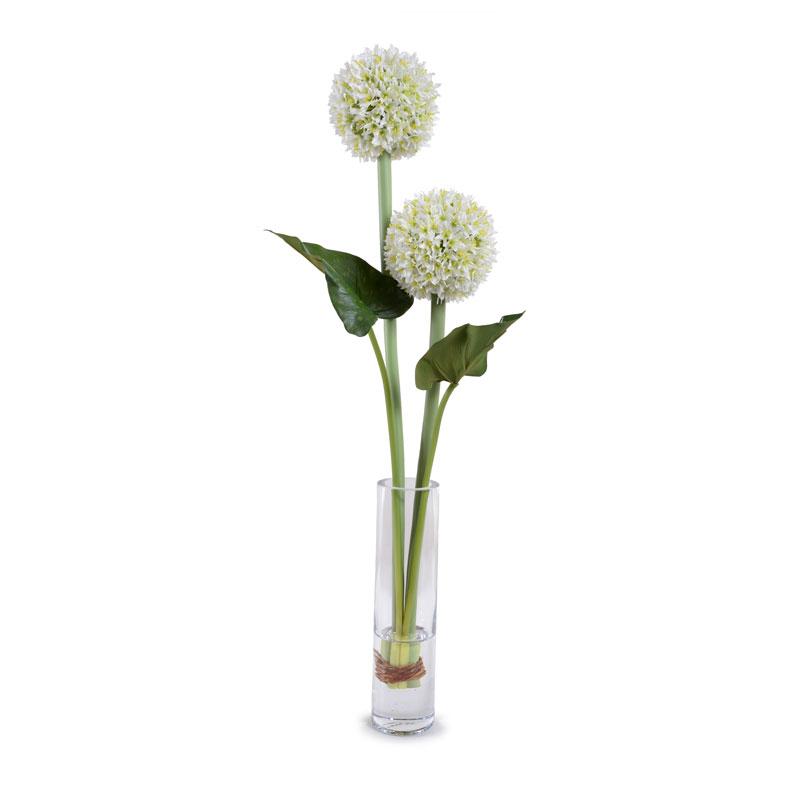 Allium - New Growth Designs