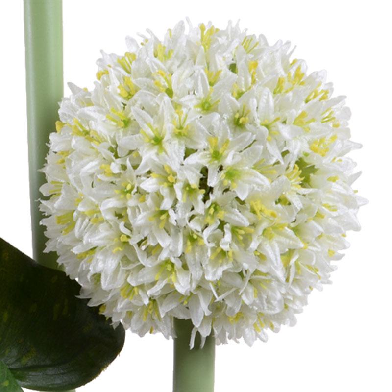 Allium - New Growth Designs