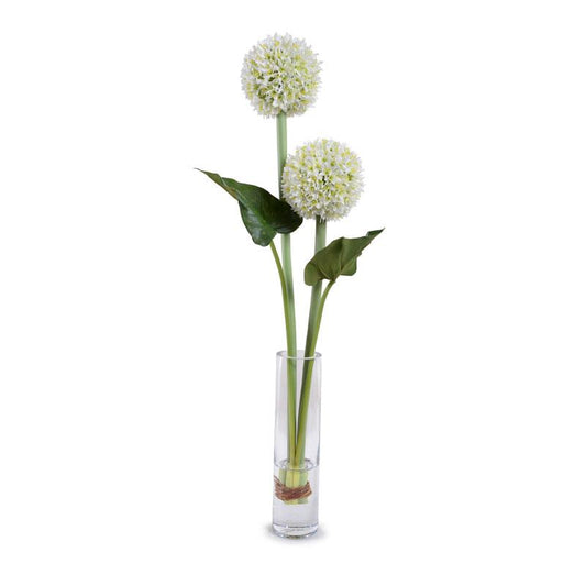 Allium - New Growth Designs