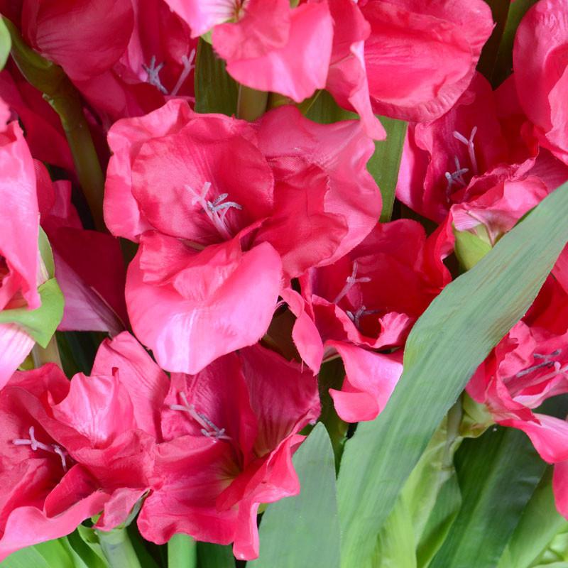 Gladiolus Arrangement - New Growth Designs