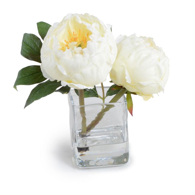 Peony Cutting, Cream-white