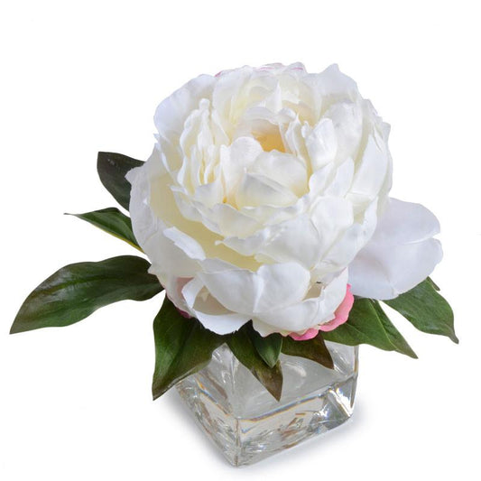 Peony Cutting, White