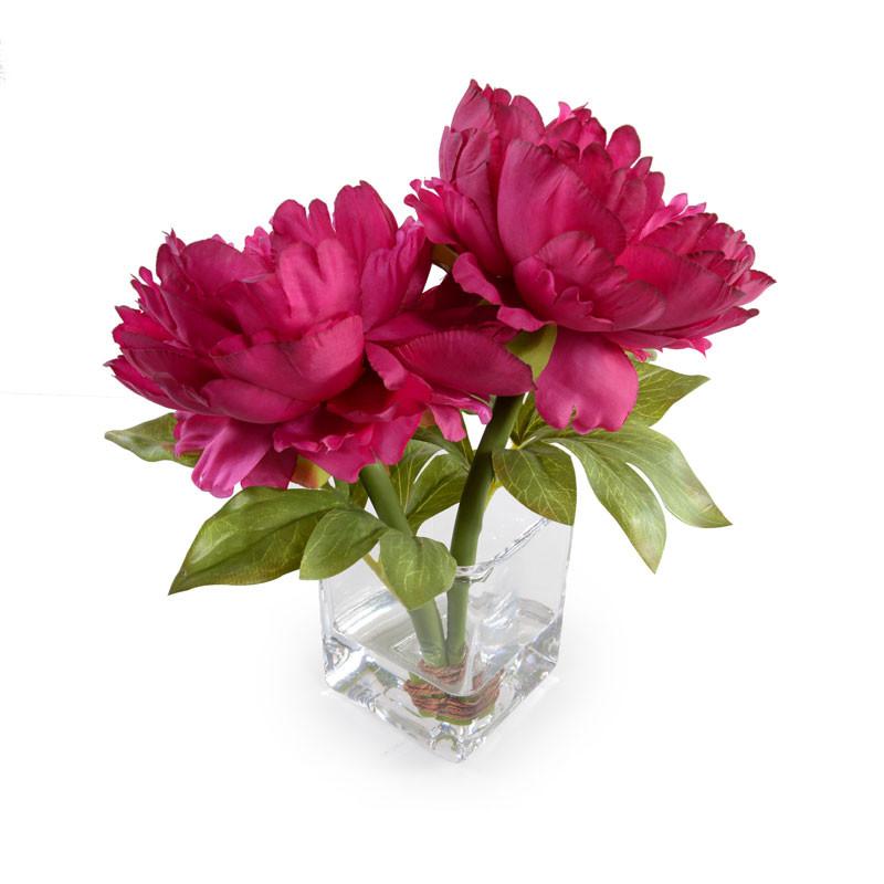Peony Cutting