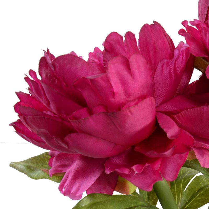 Peony Cutting