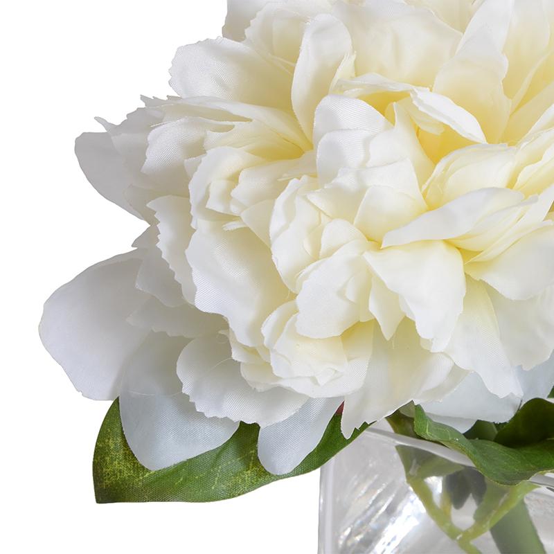 Peony Cutting, Cream (Duplicate)