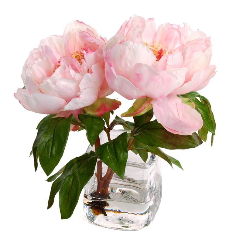 Peony Cutting (Duplicate)