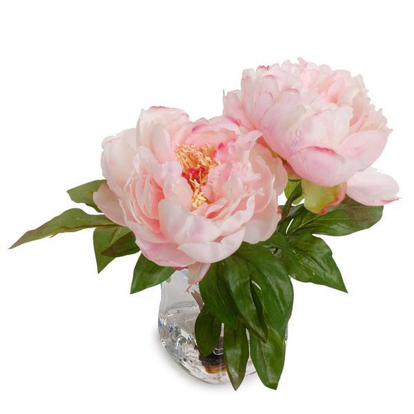 Peony Cutting