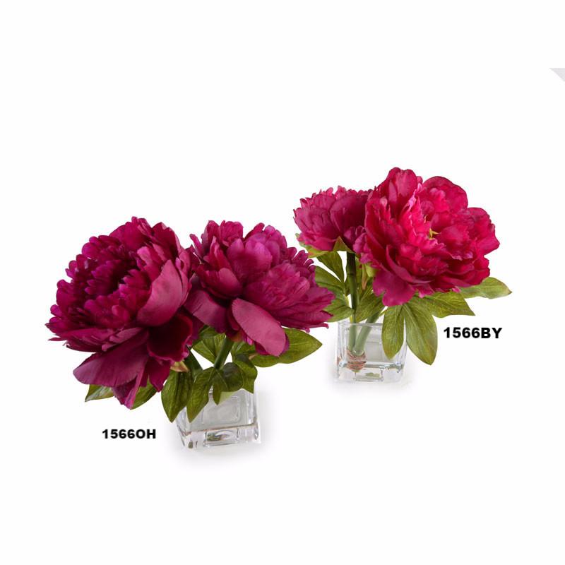 Peony Cutting (Duplicate)