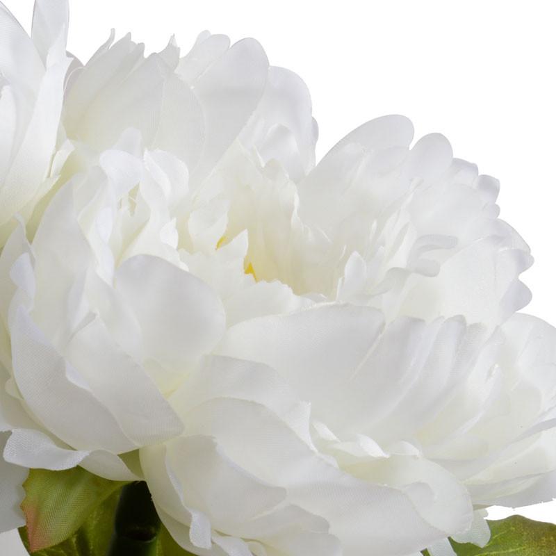 Peony Cutting (Duplicate)