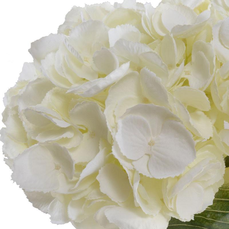 Hydrangea Bouquet - New Growth Designs