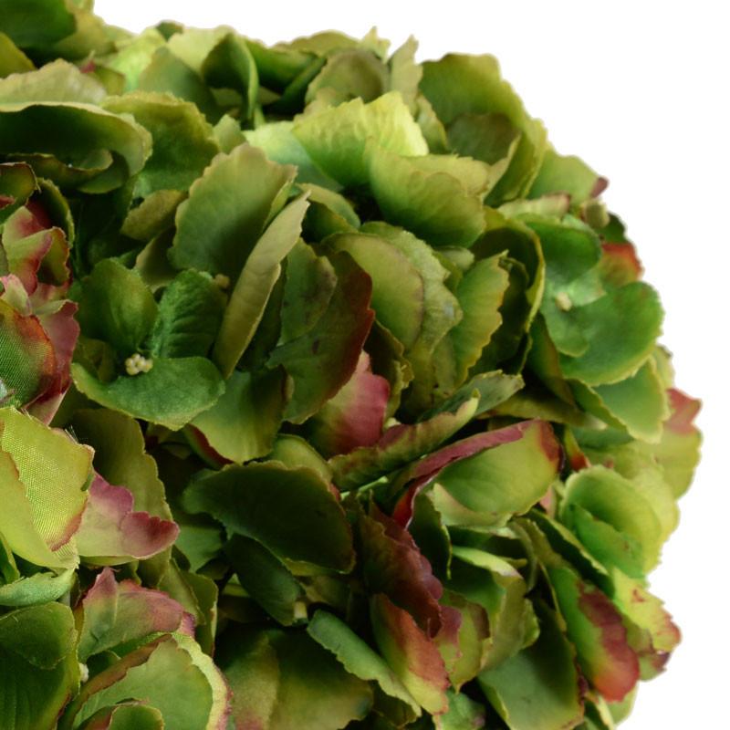 Hydrangea Arrangement - New Growth Designs