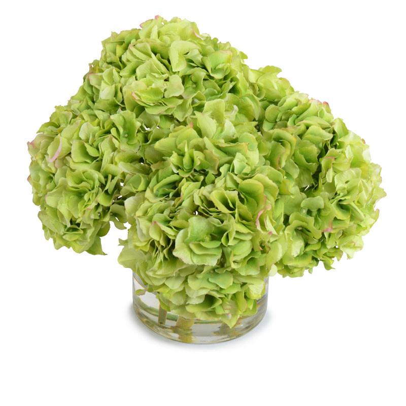 Hydrangea Arrangement - New Growth Designs