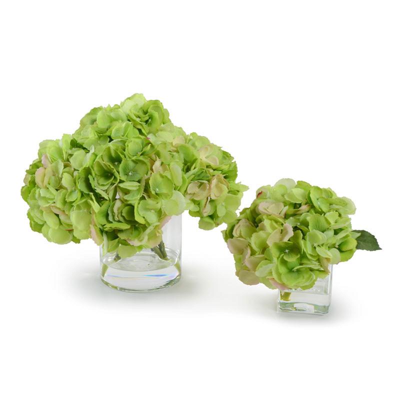 Hydrangea Cutting - New Growth Designs