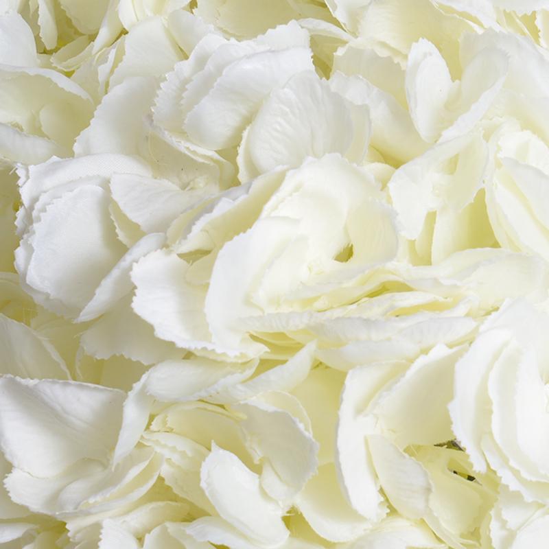 Hydrangea Arrangement - New Growth Designs