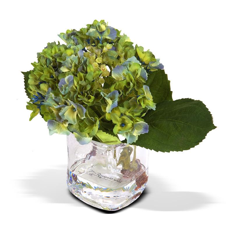Hydrangea Cutting - New Growth Designs